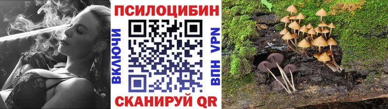 ОМГ ОМГ рабочий сайт  Михайлов  Псилоцибиновые грибы Magic Shrooms 